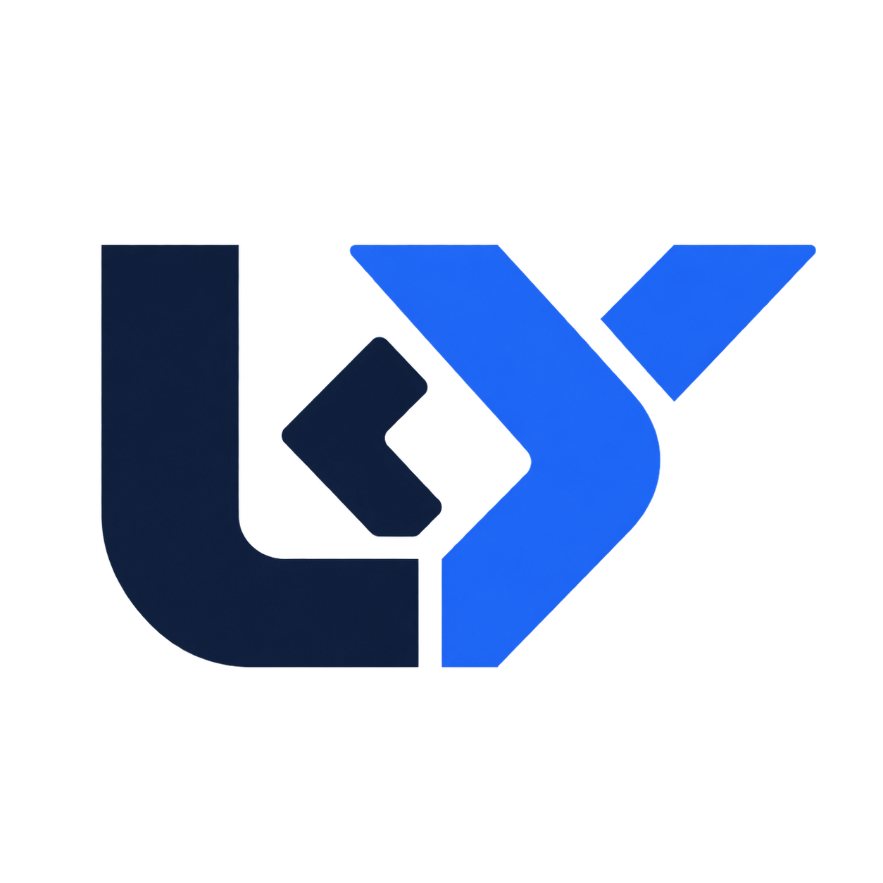 Usta Yazılımcı